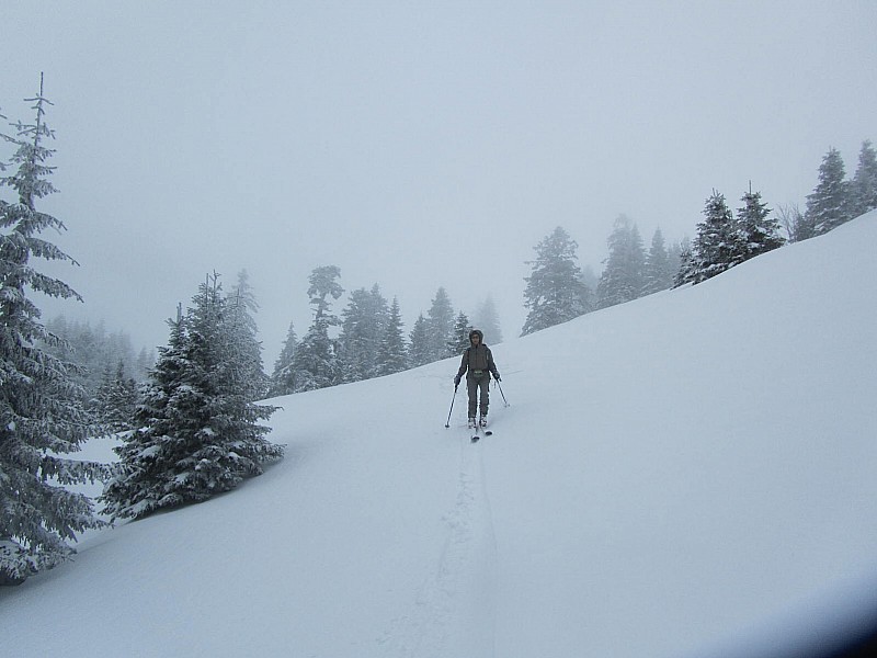 #5 descente : agréable... en suivant la trace descente : agréable... en suivant la trace