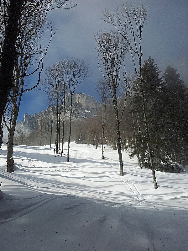 #4 clairière avant le crique : ça s clairière avant le crique : ça s'annonce bien!