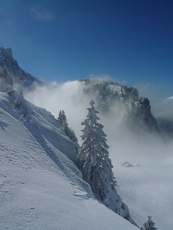 Chalet Bovinant +Mauvernay