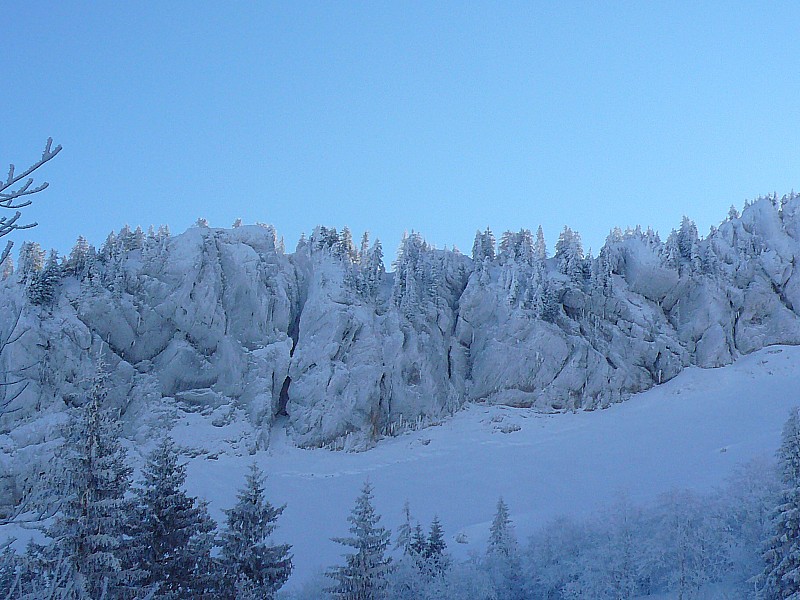 Front de glacier !!!! : non Chartreuse plaquée