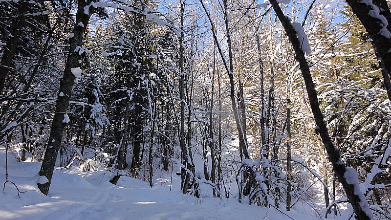#2 chalets pdt la montée : les bois chalets pdt la montée : les bois
