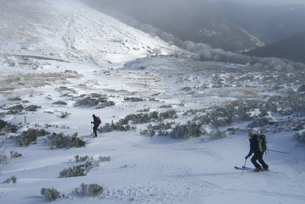 #11 Fin de descente : Entre les genêts Fin de descente : Entre les genêts