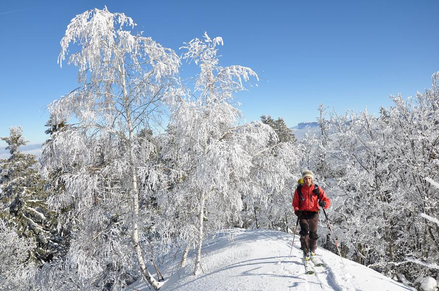 #12 Crête de Charminelle : On retrouve le soleil et les arbres givrés Crête de Charminelle : On retrouve le soleil et les arbres givrés