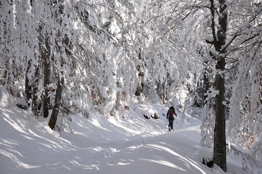 #8 Chemin de la Nonne : Montée sous les rideaux de neige Chemin de la Nonne : Montée sous les rideaux de neige