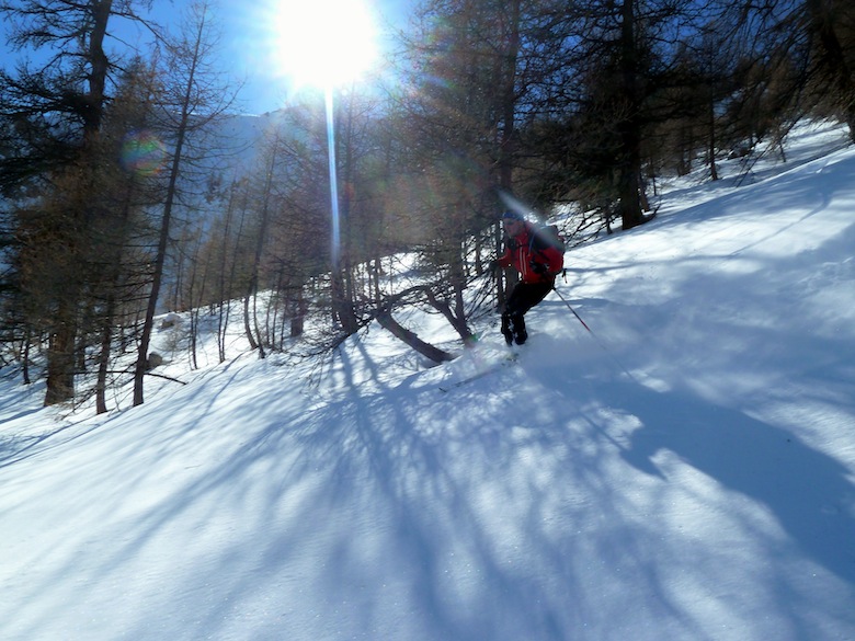 #4 Descente dans le bois : Merci Olive pour l Descente dans le bois : Merci Olive pour l'idée