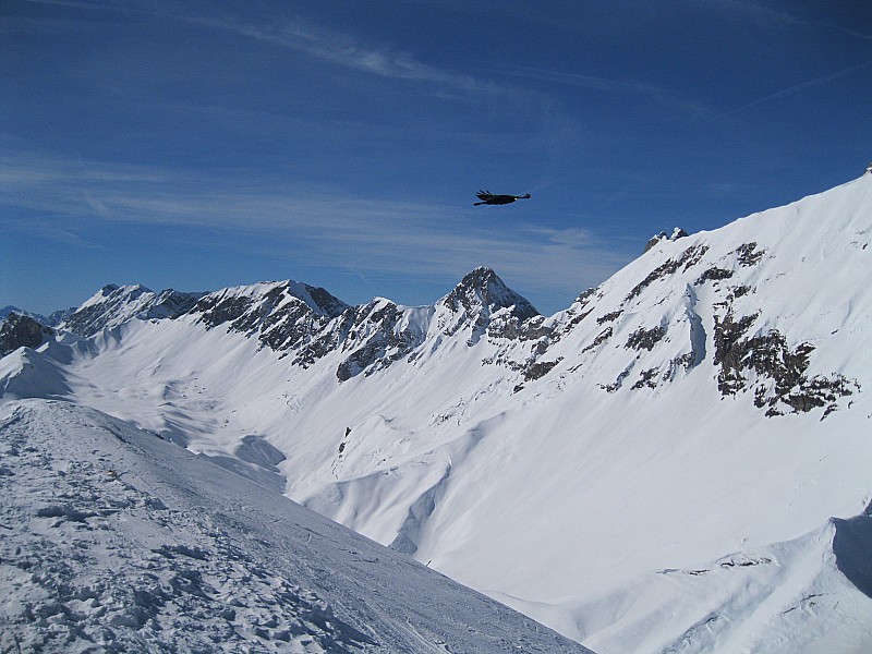 #7 du côté des Aravis : j du côté des Aravis : j'avais pas prévu le chocard