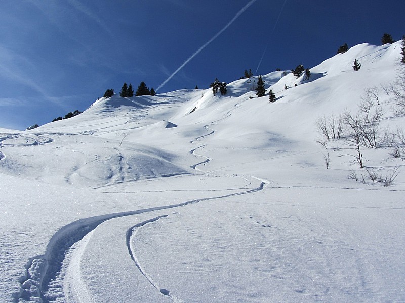 #4 Face Nord Talamarche : Poudreuse ***** Face Nord Talamarche : Poudreuse *****