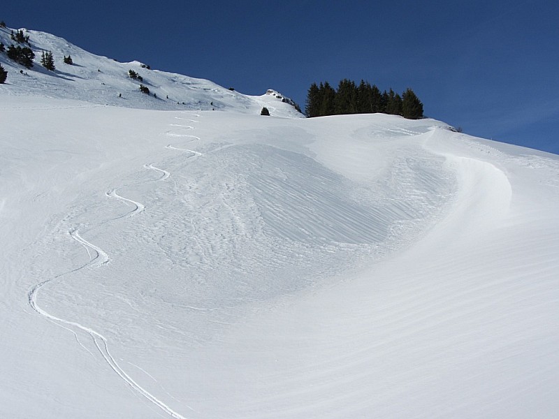 #8 Face sud Talamarche : Neige plus humide, mais skiable quand même! Face sud Talamarche : Neige plus humide, mais skiable quand même!
