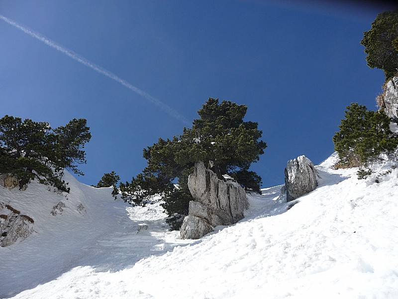 #6 Départ couloir : monté par le goulet de droite, descendu en escaliers-accrobranche Départ couloir : monté par le goulet de droite, descendu en escaliers-accrobranche