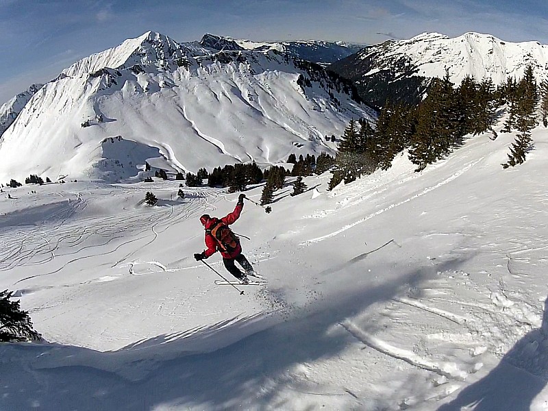 Freeride : Petit saut dans la poudre.