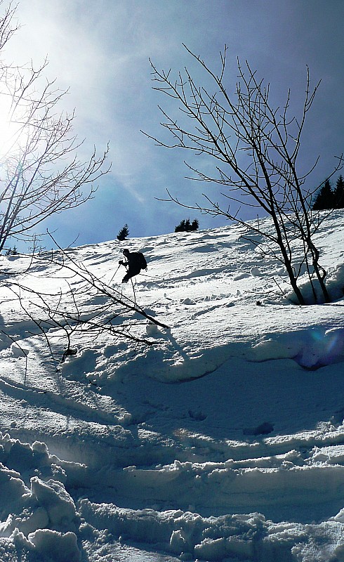 #8 Haut du Giclard : On est restés prudents en skiant dans les arbres Haut du Giclard : On est restés prudents en skiant dans les arbres