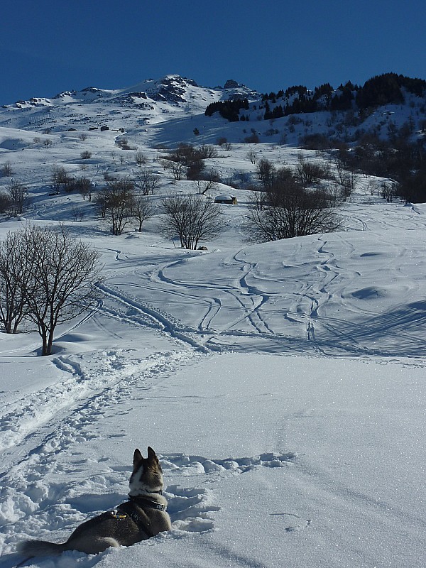 #1 Niouk : On va tout là-bas! Niouk : On va tout là-bas!