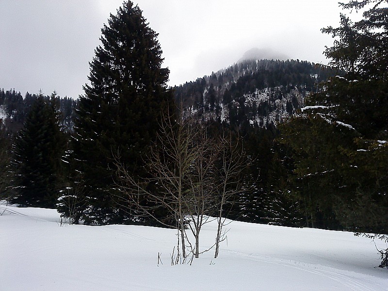 #7 La Pinéa : la Pinéa depuis les Girieux La Pinéa : la Pinéa depuis les Girieux