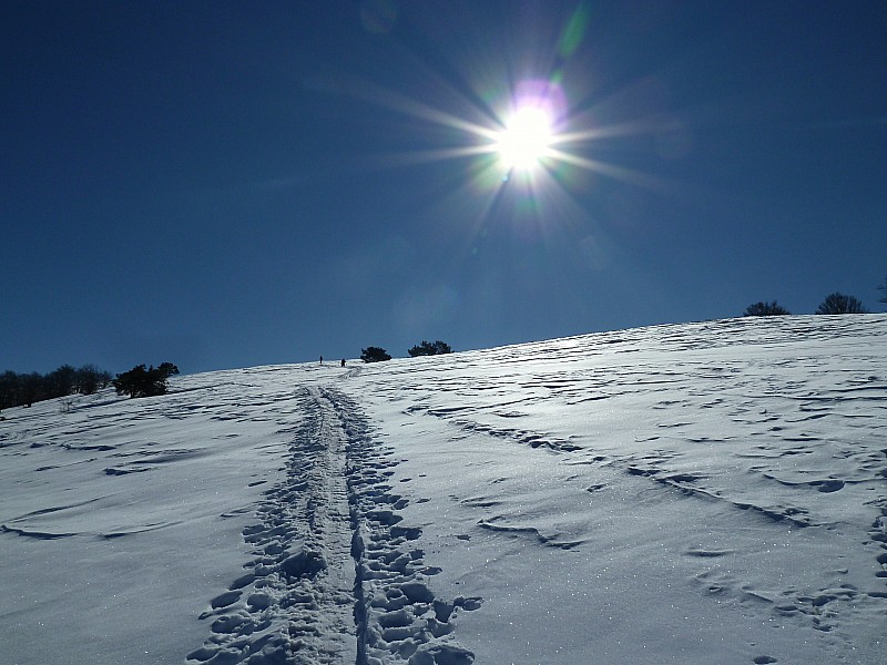 #4 Montée : presqu Montée : presqu'au sommet