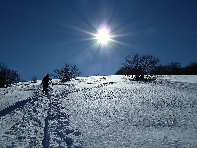 #3 Montée : très agréable Montée : très agréable