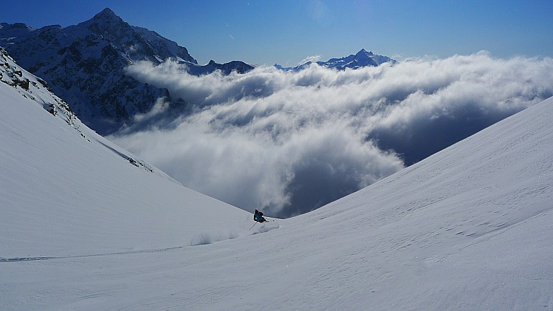 #8 Le petit col Le petit col