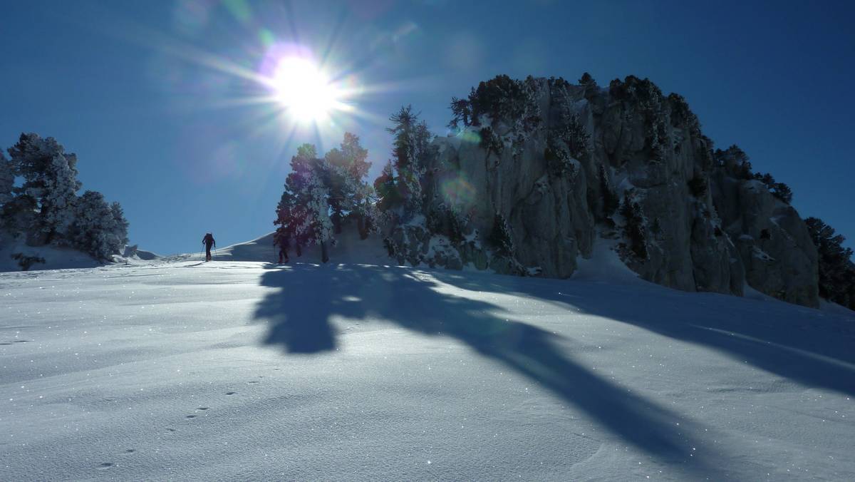 #2 Hauts Plateaux : encore de la neige sur les sapins en nord Hauts Plateaux : encore de la neige sur les sapins en nord