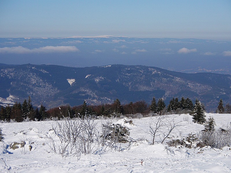 #3 Monts du Forez : pour demain Monts du Forez : pour demain