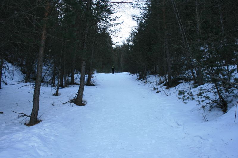 #1 Montée dans le bois Montée dans le bois