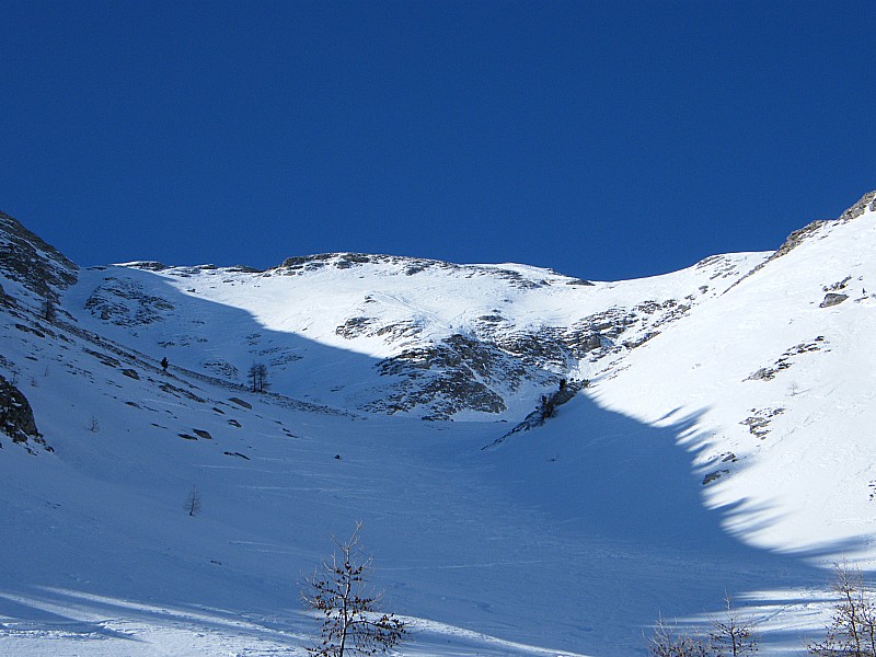 #1 Apect général : sur le haut Apect général : sur le haut