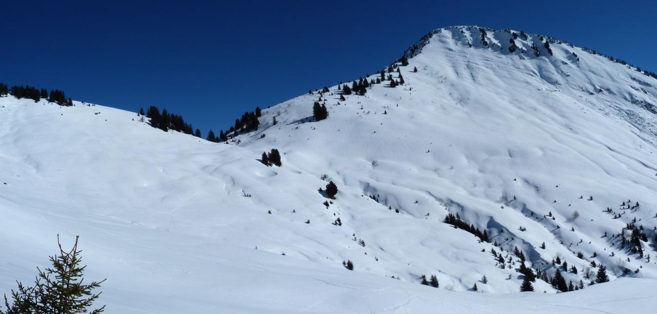 #12 Pointe d Pointe d'Uble : Et Col de la Bolire