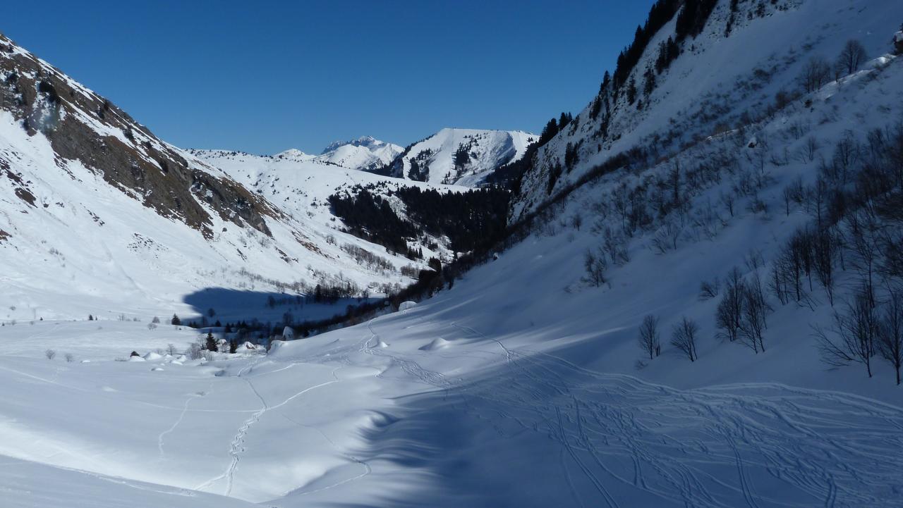 #14 Col de la Bolire : Super poudreuse en pente nord Col de la Bolire : Super poudreuse en pente nord