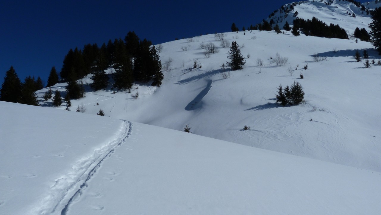 #13 Vers le Col de la Bolire : Peu de traces récentes Vers le Col de la Bolire : Peu de traces récentes