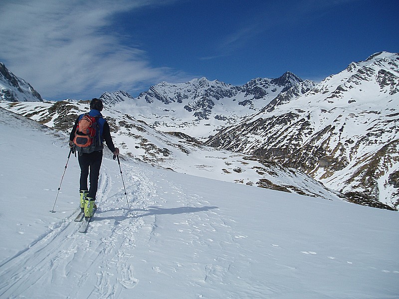#2 Vallon de Pouey Aspe : Vallon sauvage Vallon de Pouey Aspe : Vallon sauvage