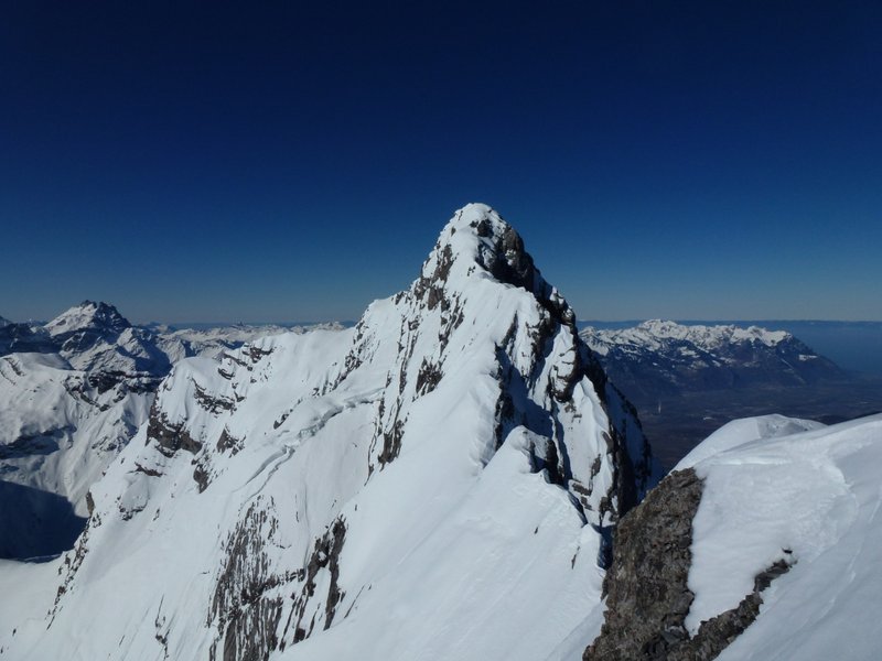 #8 Grd Muveran : Les arêtes du Grd Muveran Grd Muveran : Les arêtes du Grd Muveran