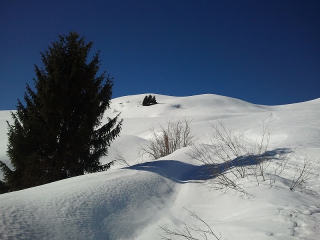 #2 sortie du bois : vers les chalets d sortie du bois : vers les chalets d'uble