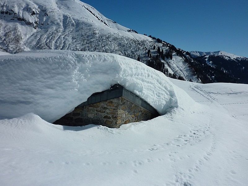 Alpage de Pététry : On dirait qu'il y a plus de neige ici (1500m) qu 'en altitude.