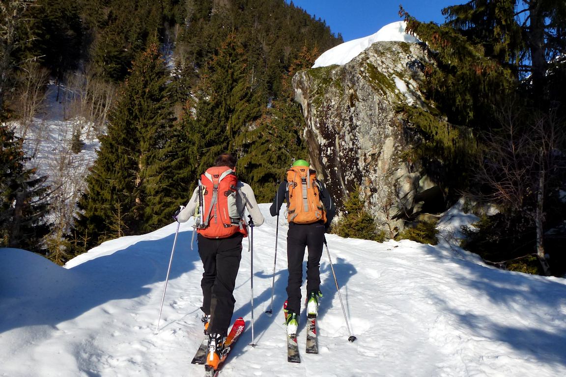 #1 Piste forestière des Reisses : Montée bien agréable. Piste forestière des Reisses : Montée bien agréable.