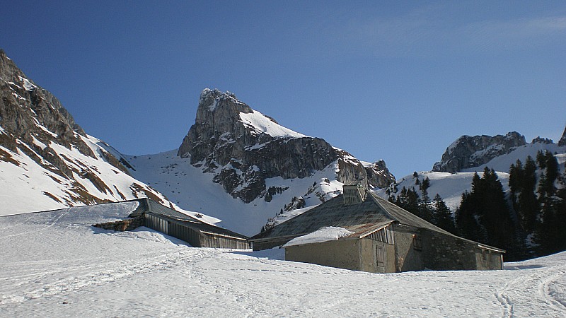 #1 chalets d chalets d'Oche : Sortie de la forêt