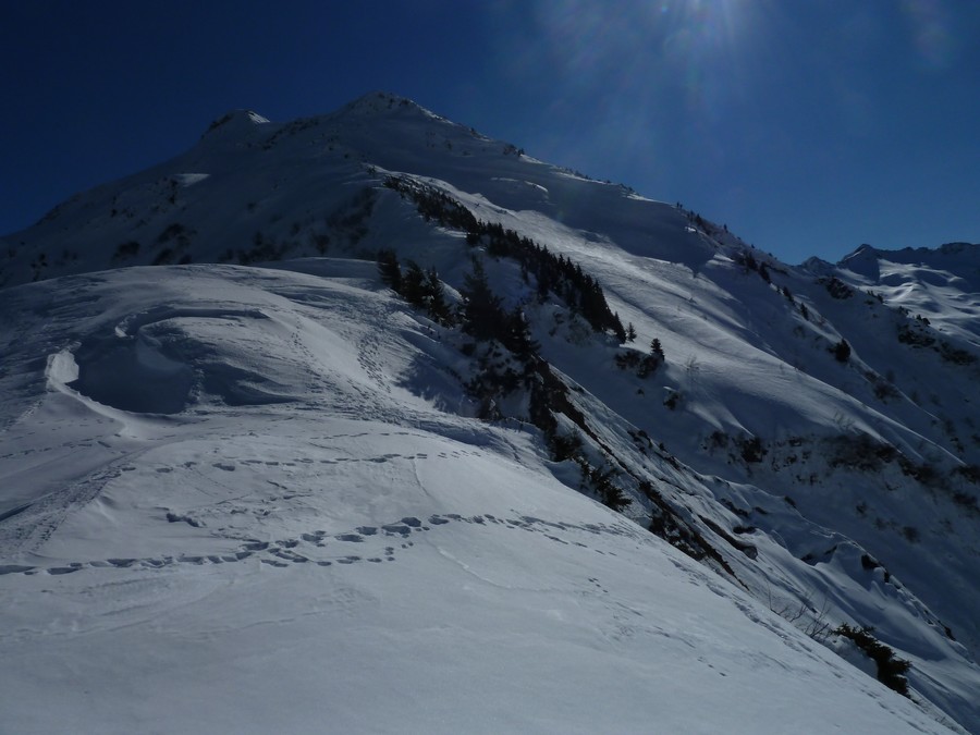 #8 Bellacha : Arête NW Bellacha : Arête NW