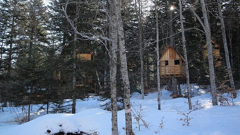 #8 Pygmés : Une drôle de tribu inconnue habite cette forêt.. Pygmés : Une drôle de tribu inconnue habite cette forêt..