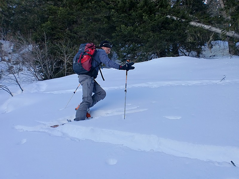 #6 plan des queux : billy a la trace plan des queux : billy a la trace