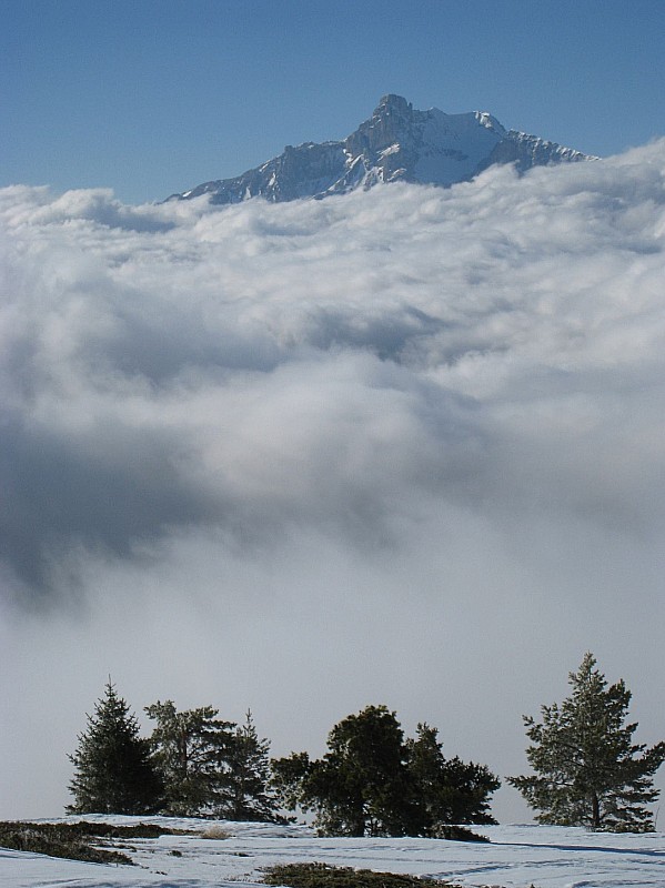 #1 Cavale : L Cavale : L'Obiou émerge des nuages