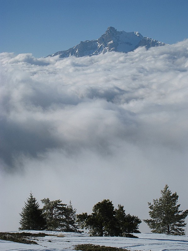 Cavale : L'Obiou émerge des nuages