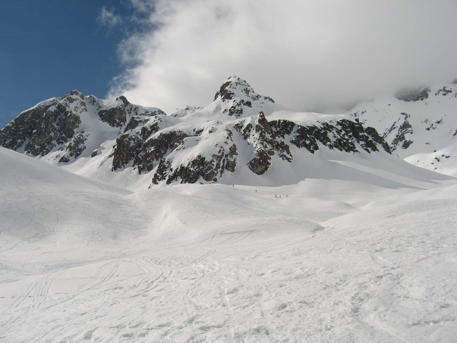 #5 Vallon de l Vallon de l'Ormante : Moquette à poils longs dans le vallon en arrivant sur le Refuge de la Balme