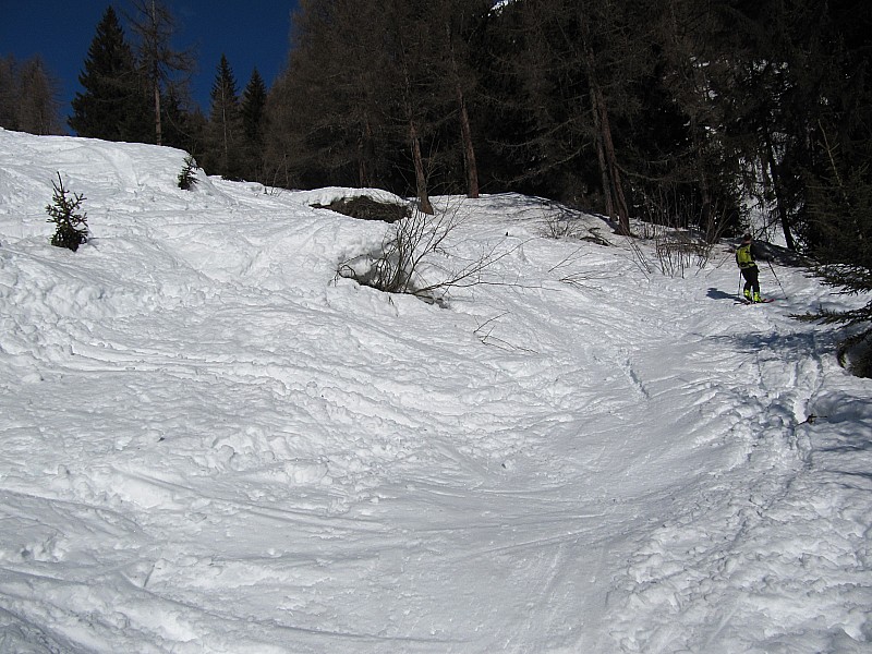 #1 Boardercross : à la sortie de la forêt. Boardercross : à la sortie de la forêt.