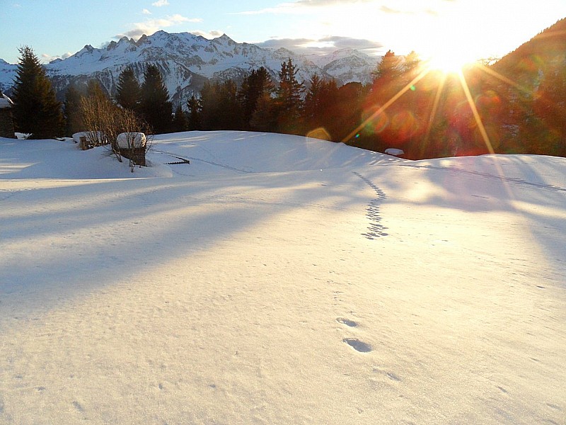 #7 Derniers rayons : le coucher de soleil va nous ravir en ce samedi soir, nous gratifiant de lumières magnifiques Derniers rayons : le coucher de soleil va nous ravir en ce samedi soir, nous gratifiant de lumières magnifiques