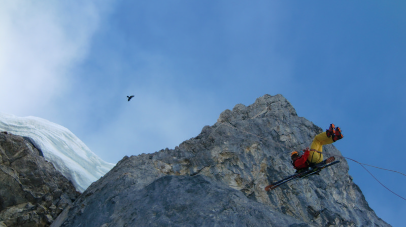 #7 Rappel et choucas. : Je vous évite la blague du renversant. Rappel et choucas. : Je vous évite la blague du renversant.