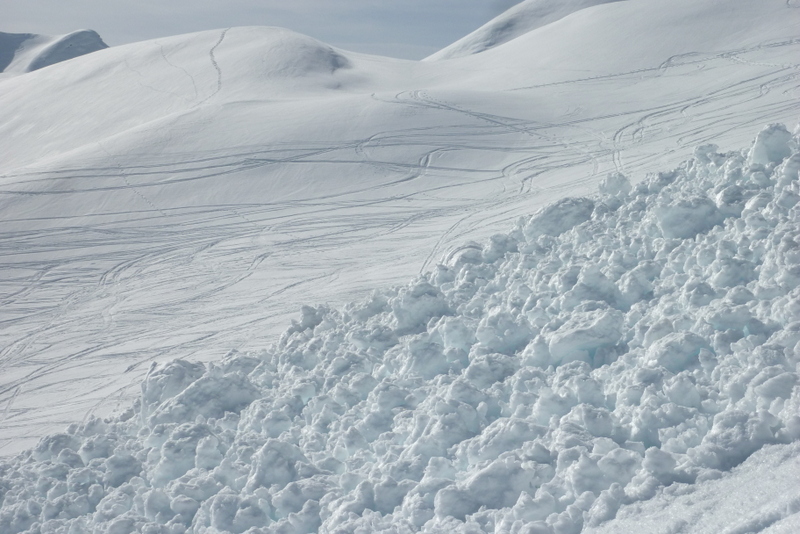 #11 Avalanche Avalanche