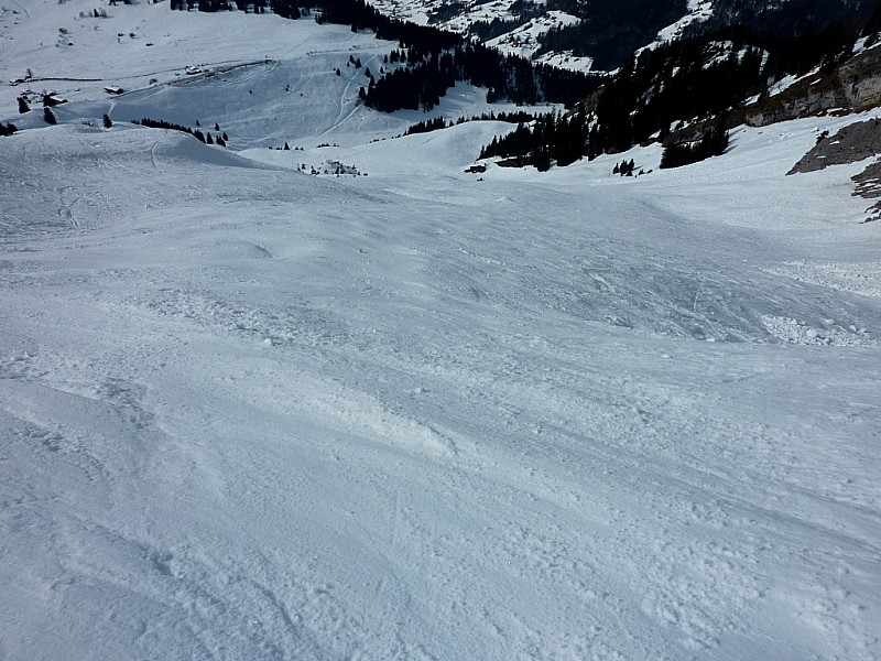 #10 Combe de Gd Cret : La piste de Gd Cret. Combe de Gd Cret : La piste de Gd Cret.