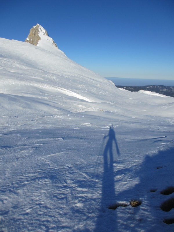 #6 La grande Moucherolle : Le 01/03 La grande Moucherolle : Le 01/03