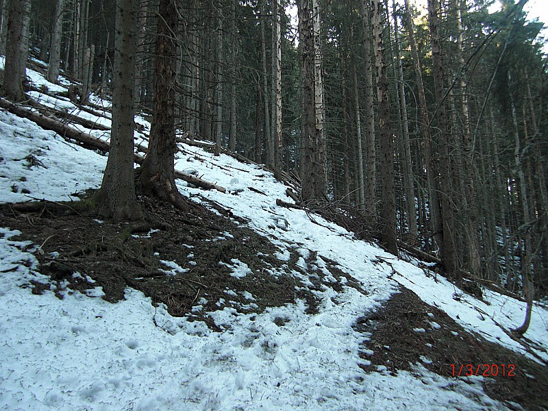 #7 GR dans les bois : La super descente dans les bois par le GR... GR dans les bois : La super descente dans les bois par le GR...