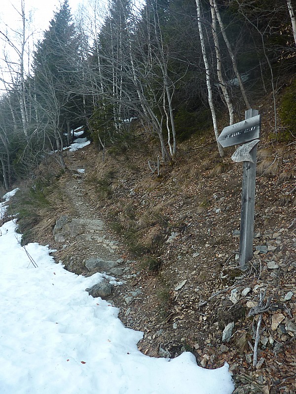 Route forestière : Pas de neige pour démarrer le chemin. Ca va tout de suite mieux après
