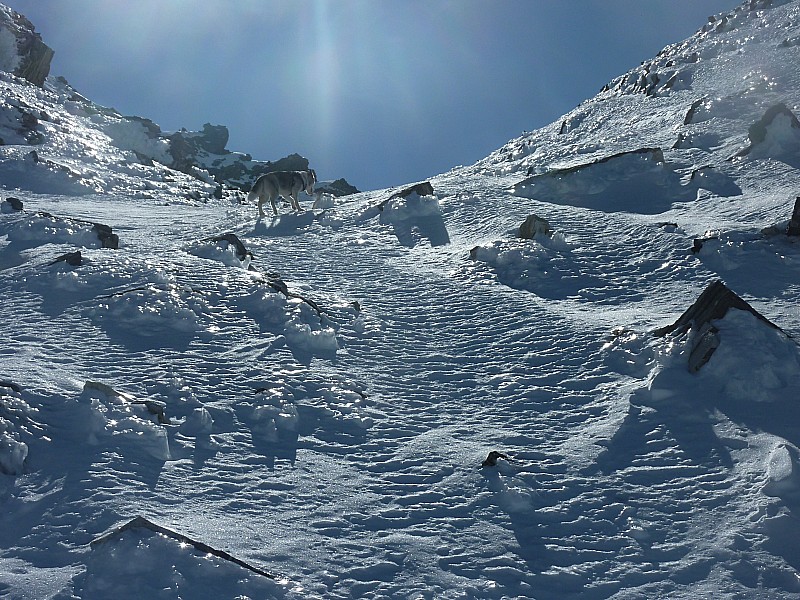 #18 Niouk nous confirme : Il y a de la glace par ici... Col de Comberousse Niouk nous confirme : Il y a de la glace par ici... Col de Comberousse