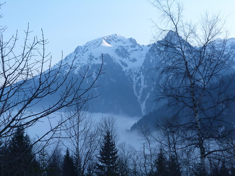 #1 Petit Matin : On n Petit Matin : On n'était mieux qu'en dessous