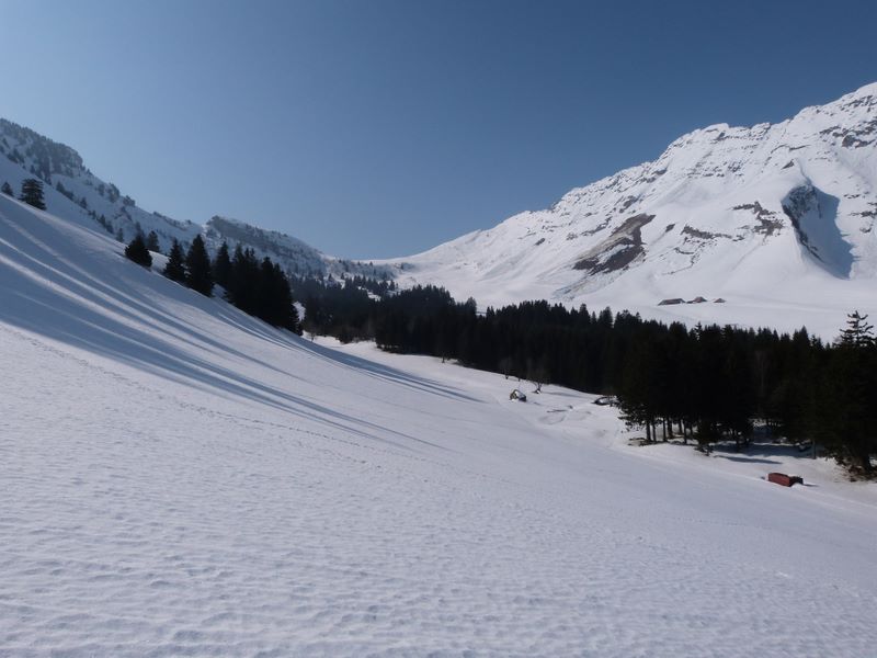 #2 Sortie de forêt : Le synclinal dans son ensemble Sortie de forêt : Le synclinal dans son ensemble